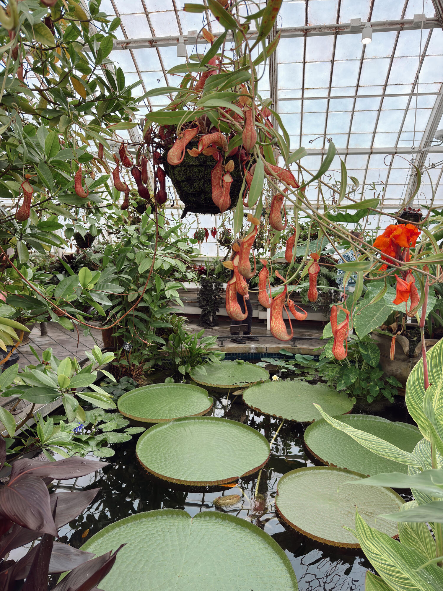 Botanical plants photograph