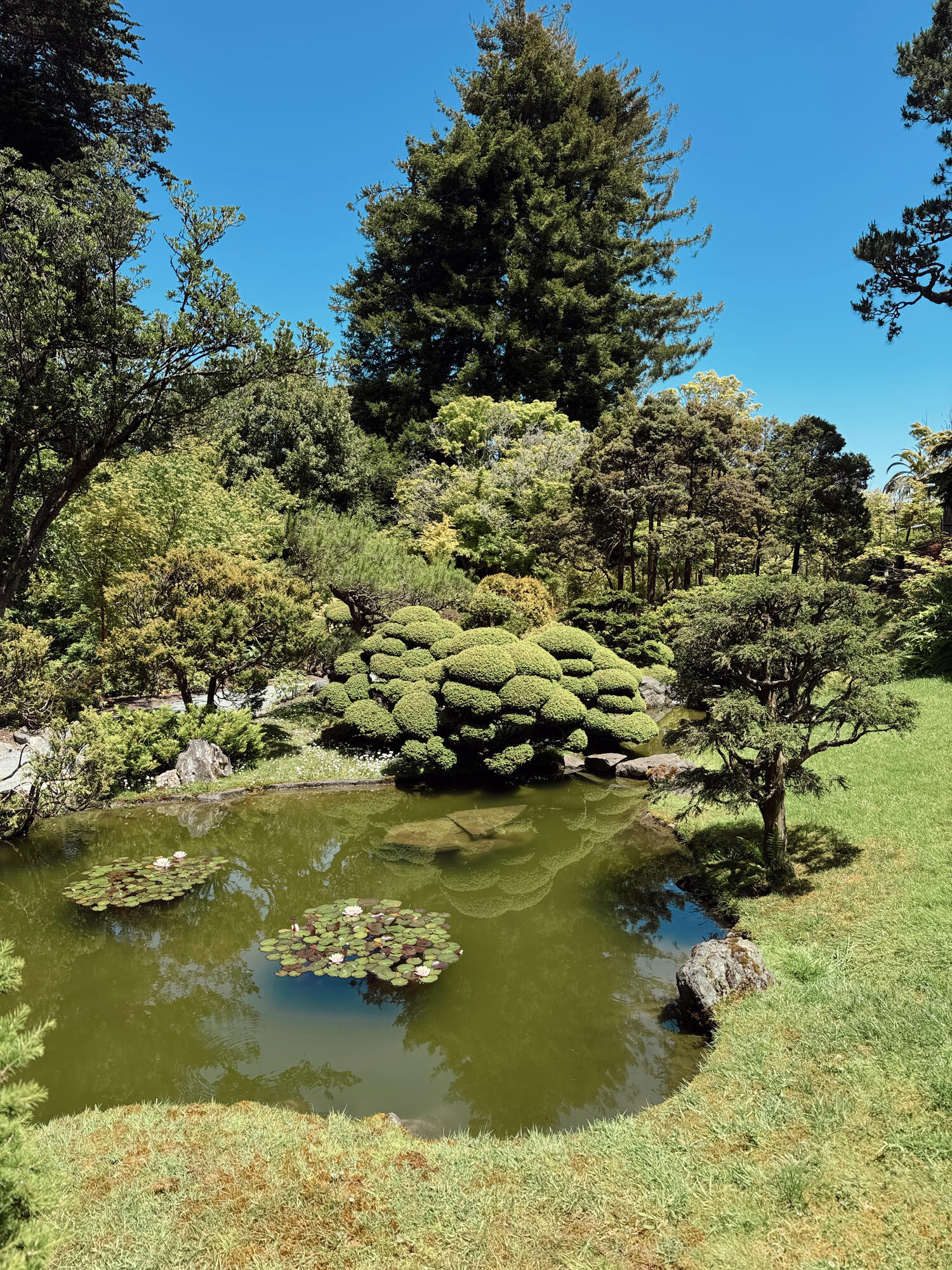 Nature landscape photograph